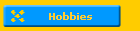 Hobbies
